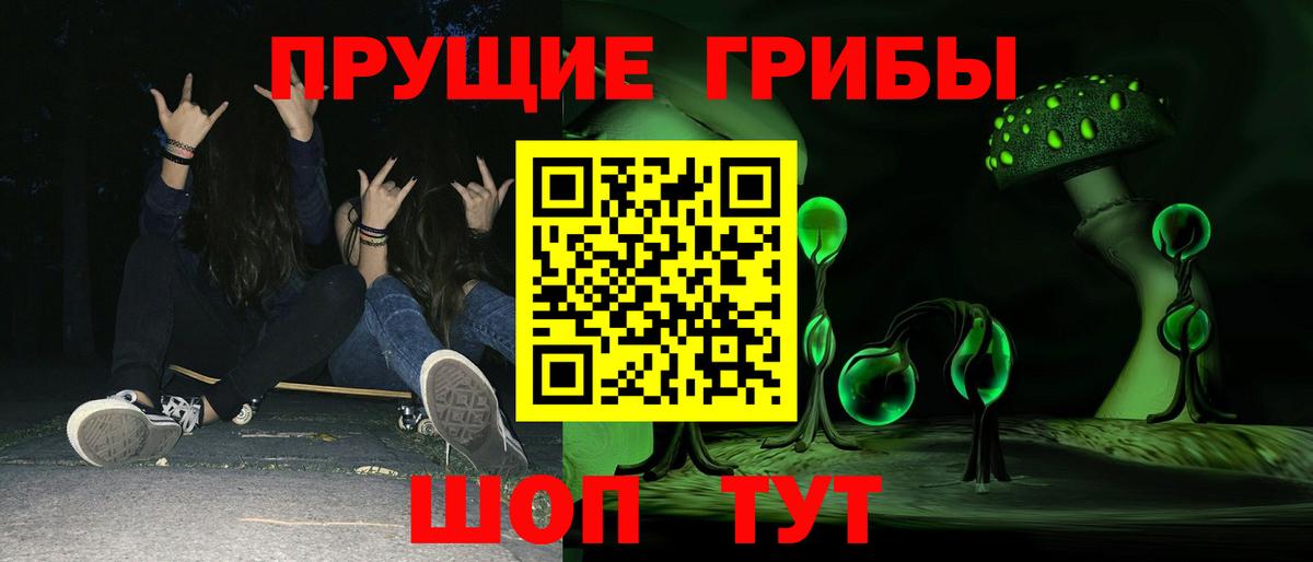 Псилоцибиновые грибы Psilocybine cubensis  Вход с VPN  Муравленко 